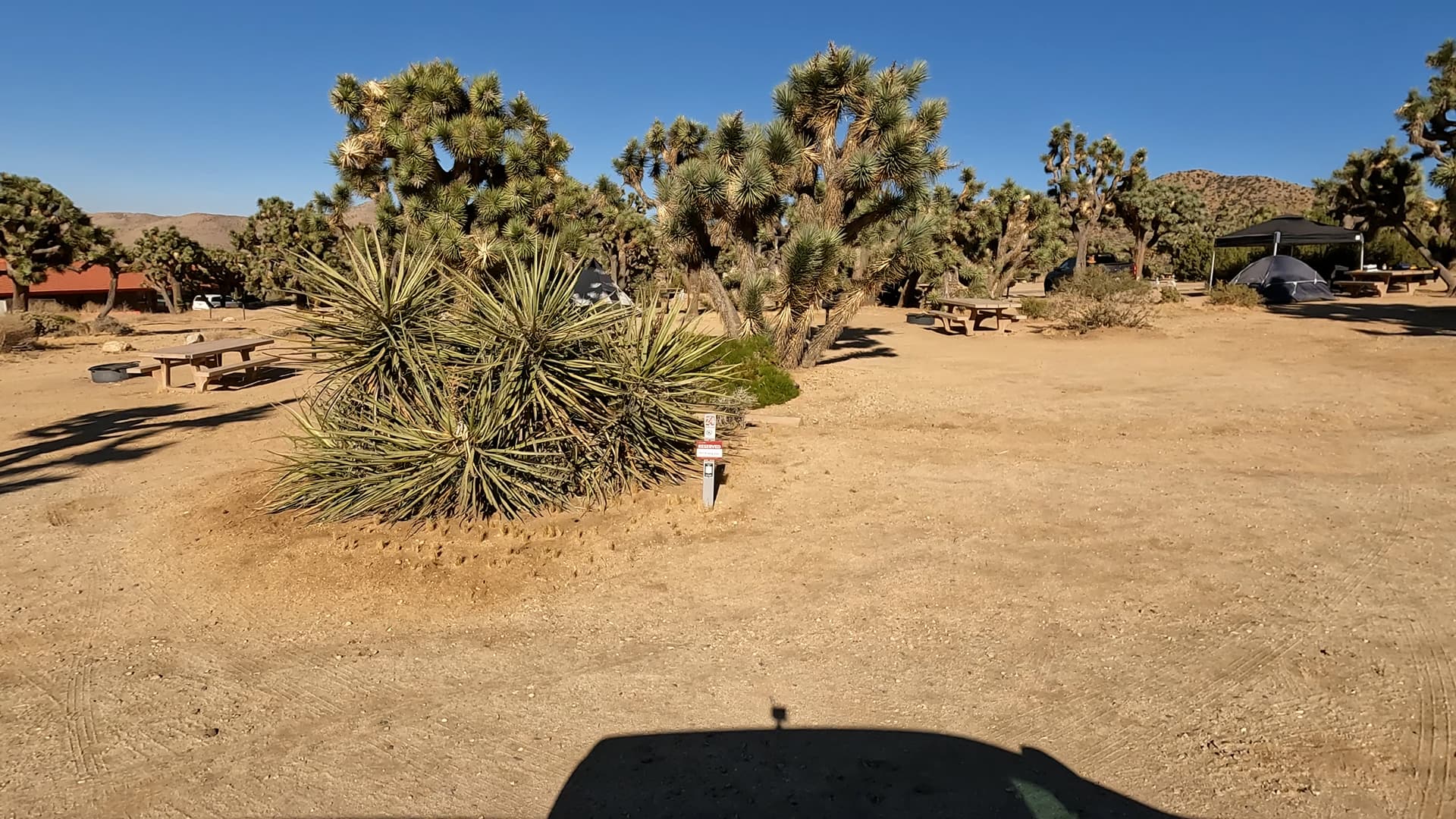 Site 24