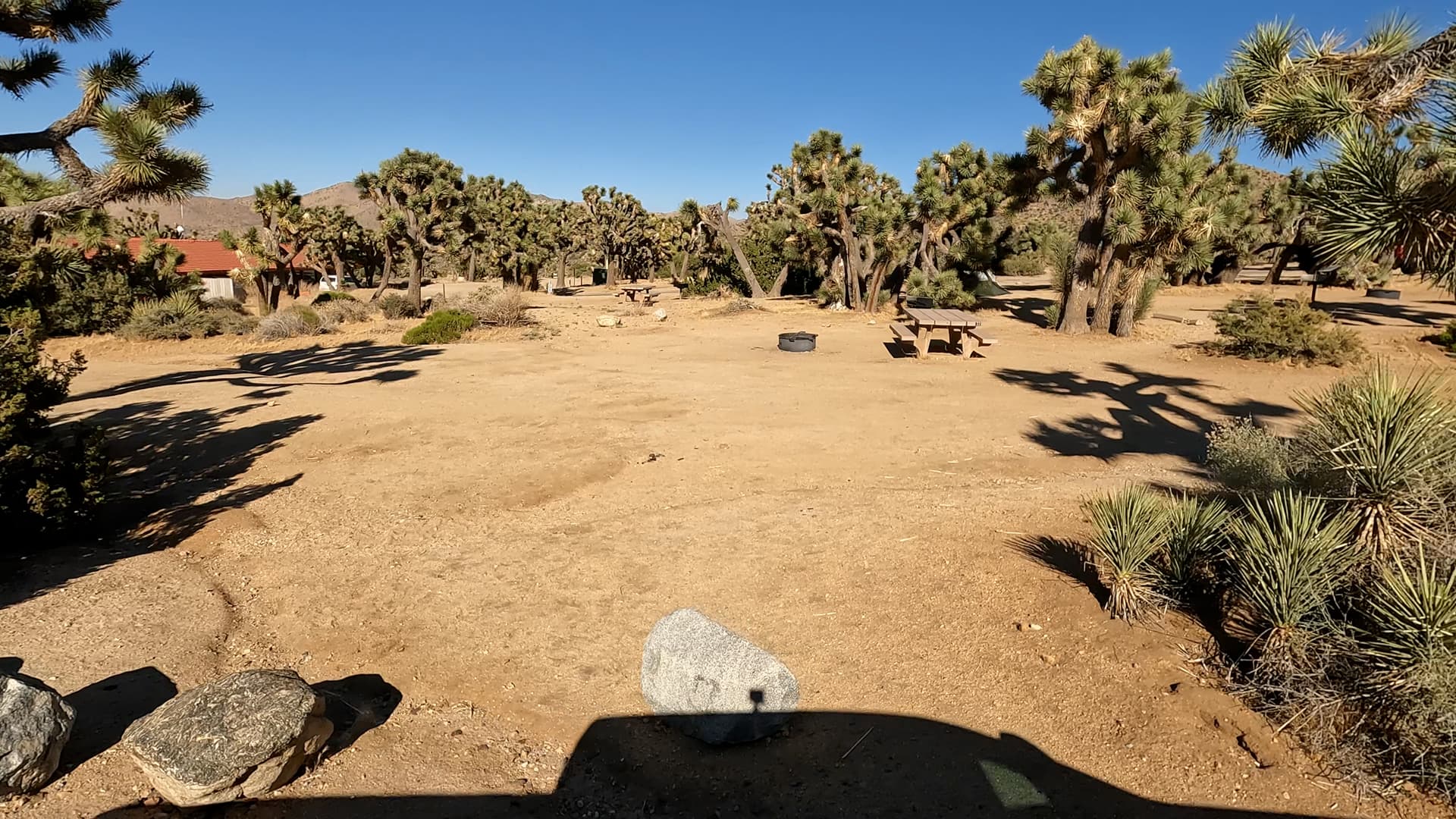 Site 22