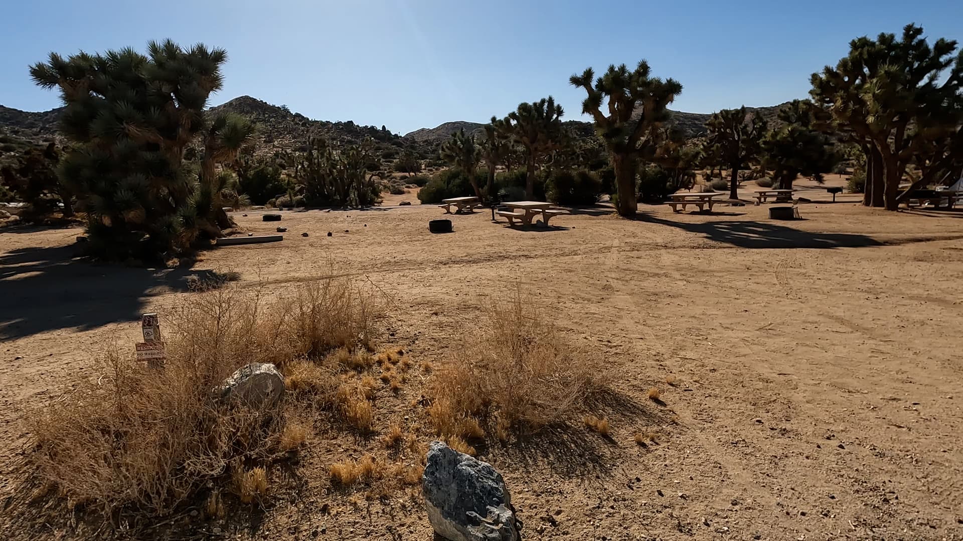 Site 31