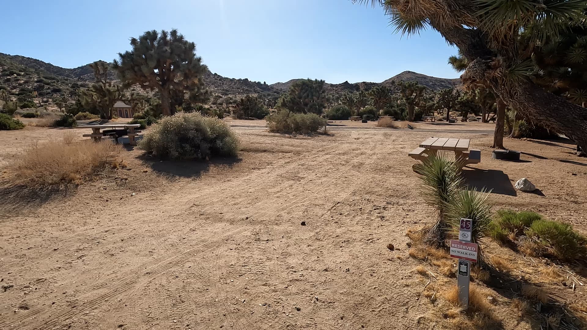 Site 45