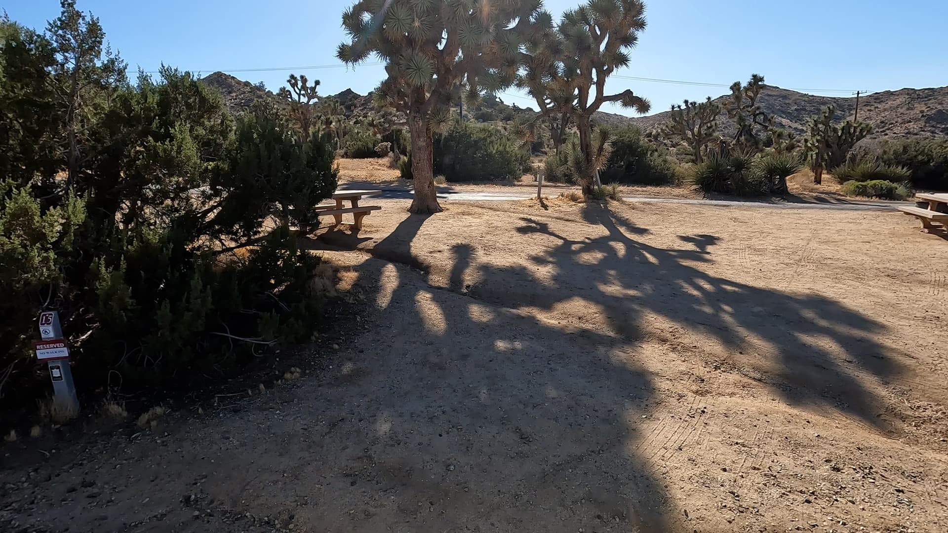 Site 15