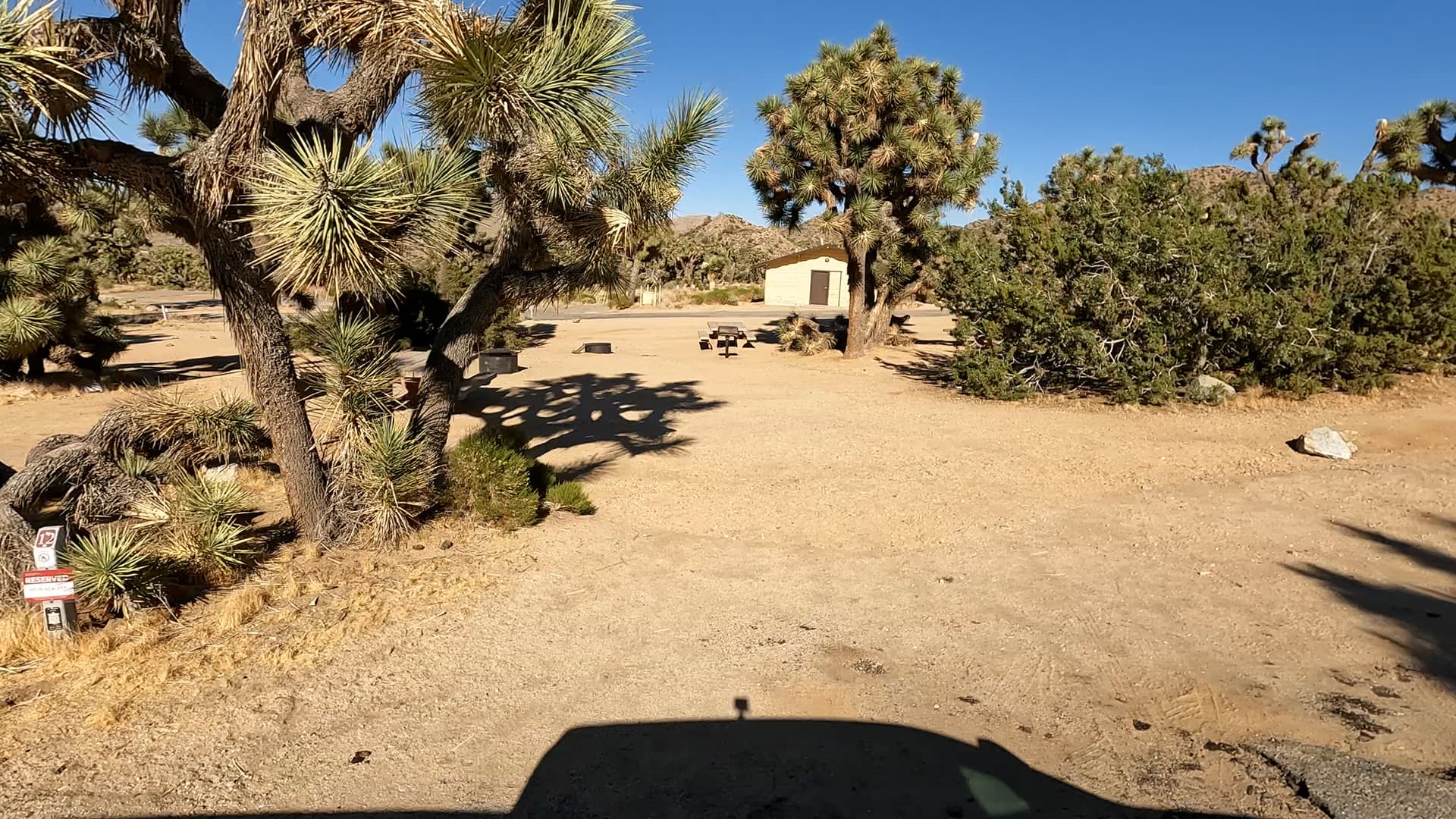 Site 12