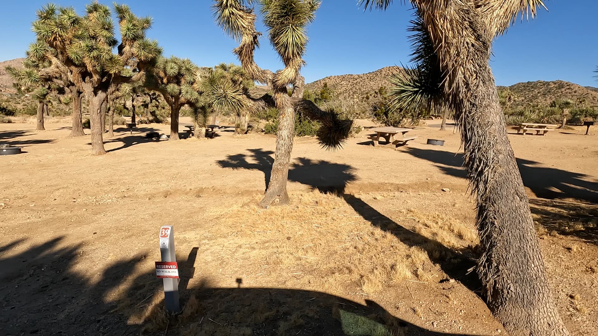 Site 39