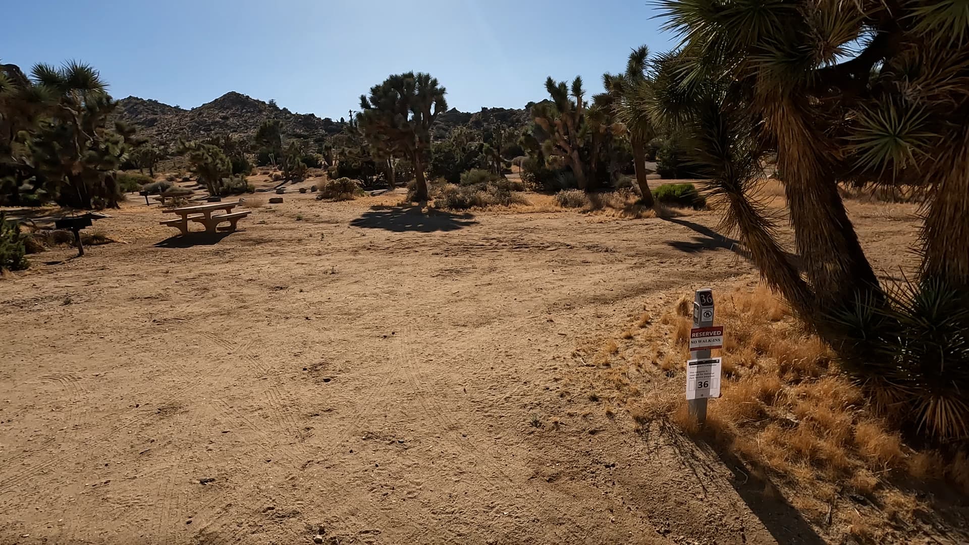 Site 36