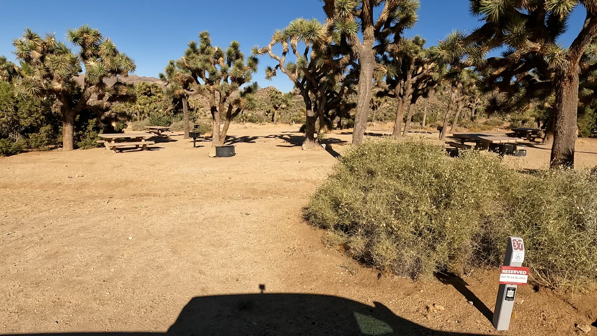 Site 37