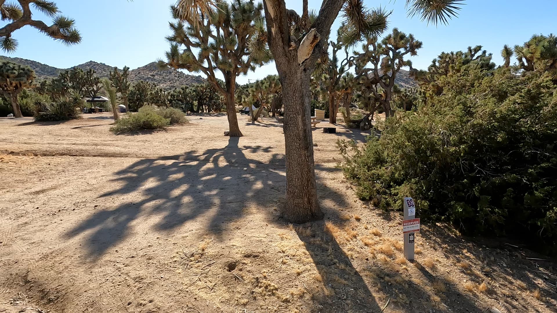Site 38