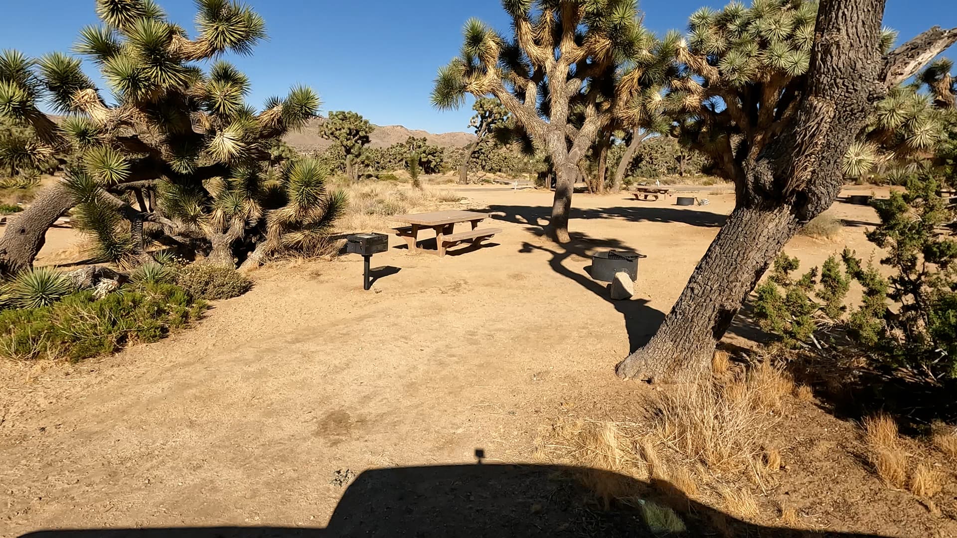 Site 8