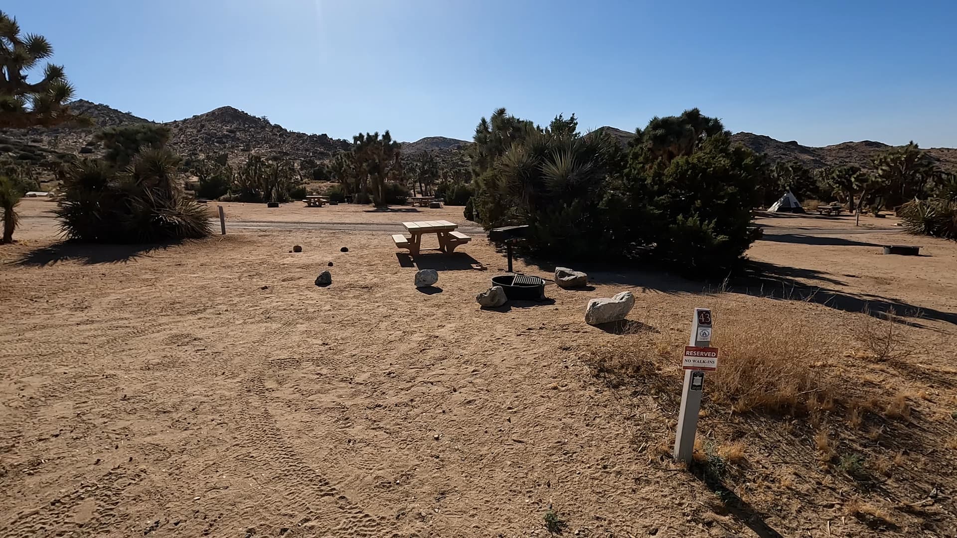 Site 43