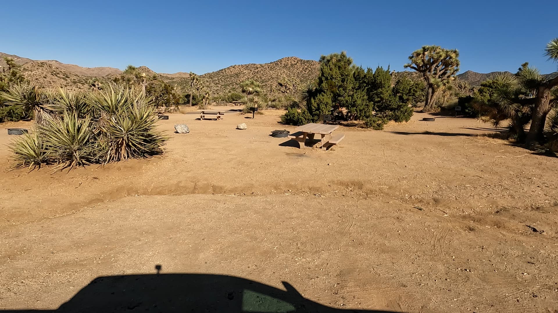 Site 40
