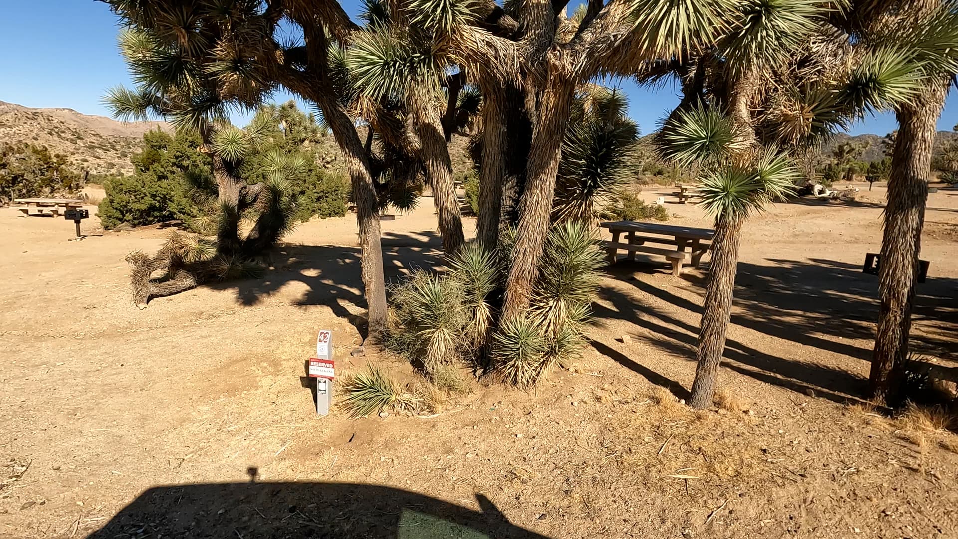 Site 42