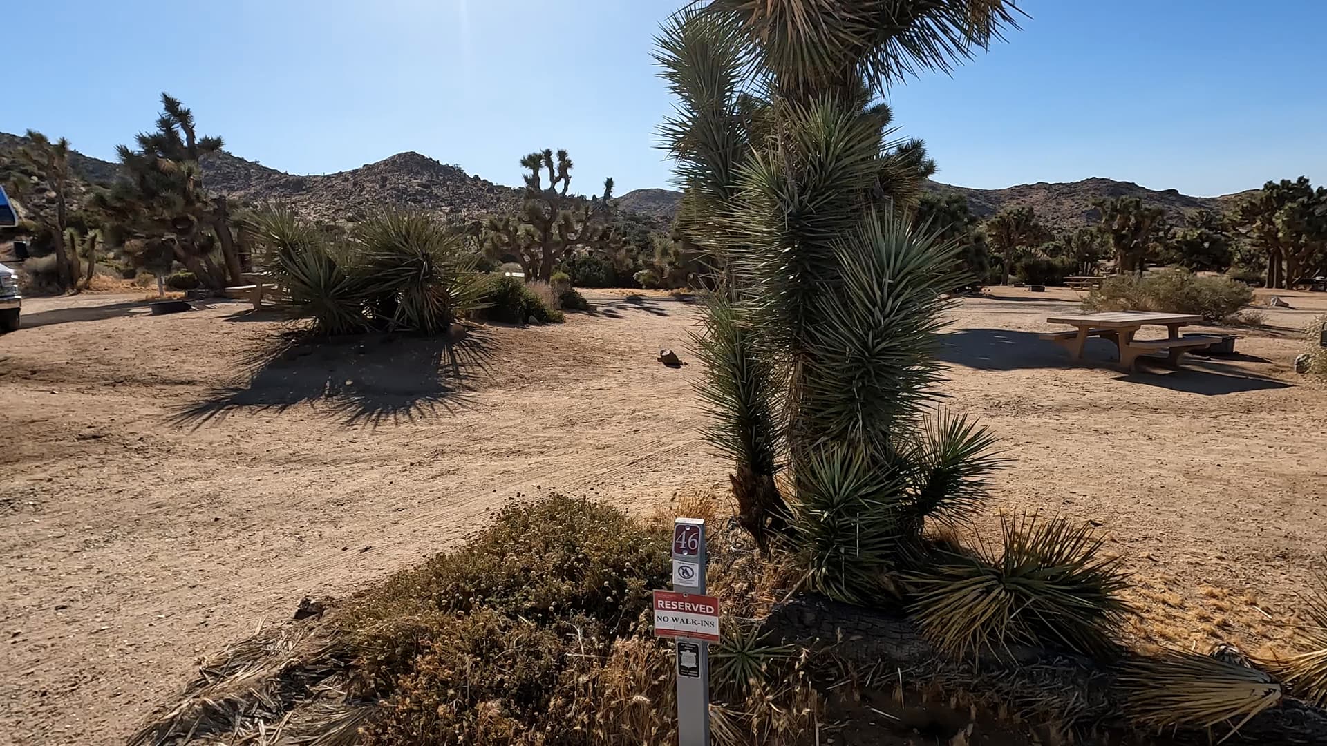 Site 46