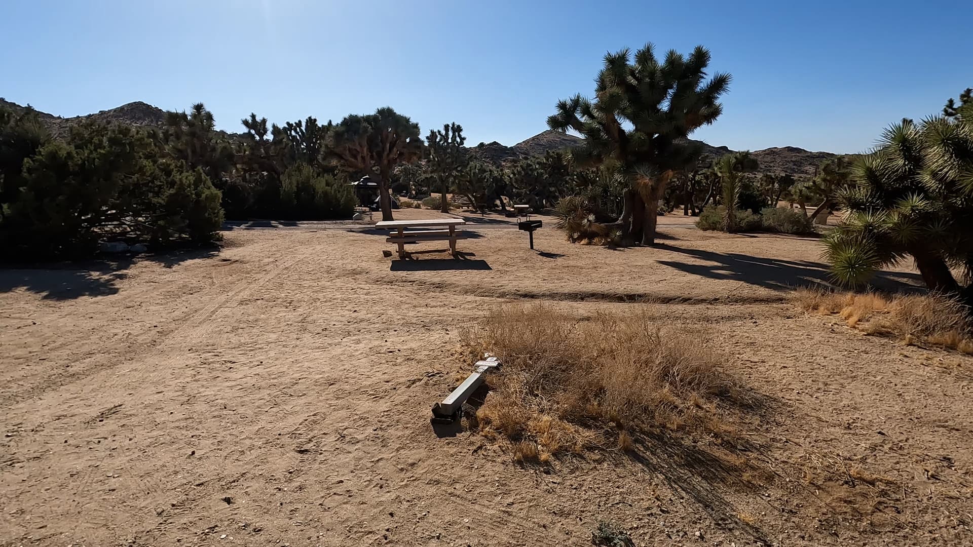Site 41
