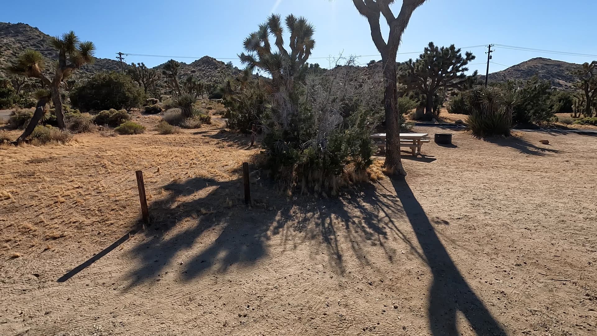 Site 20