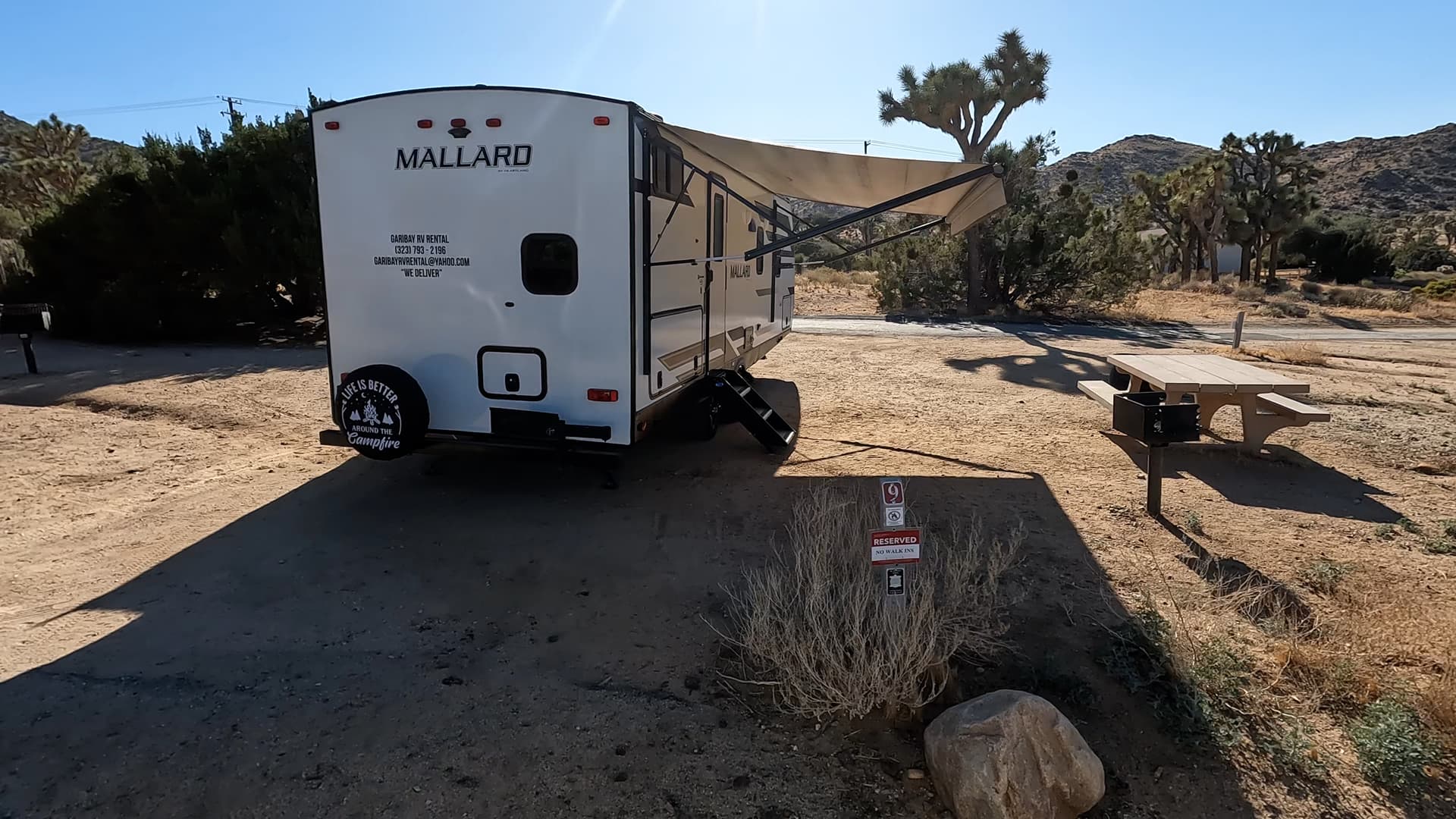 Site 9