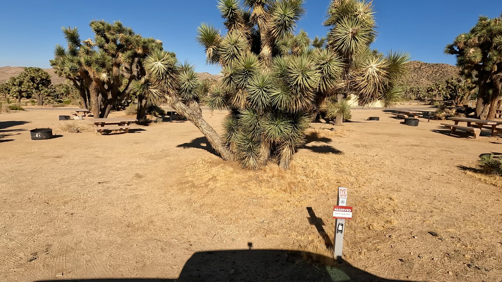 Site 10