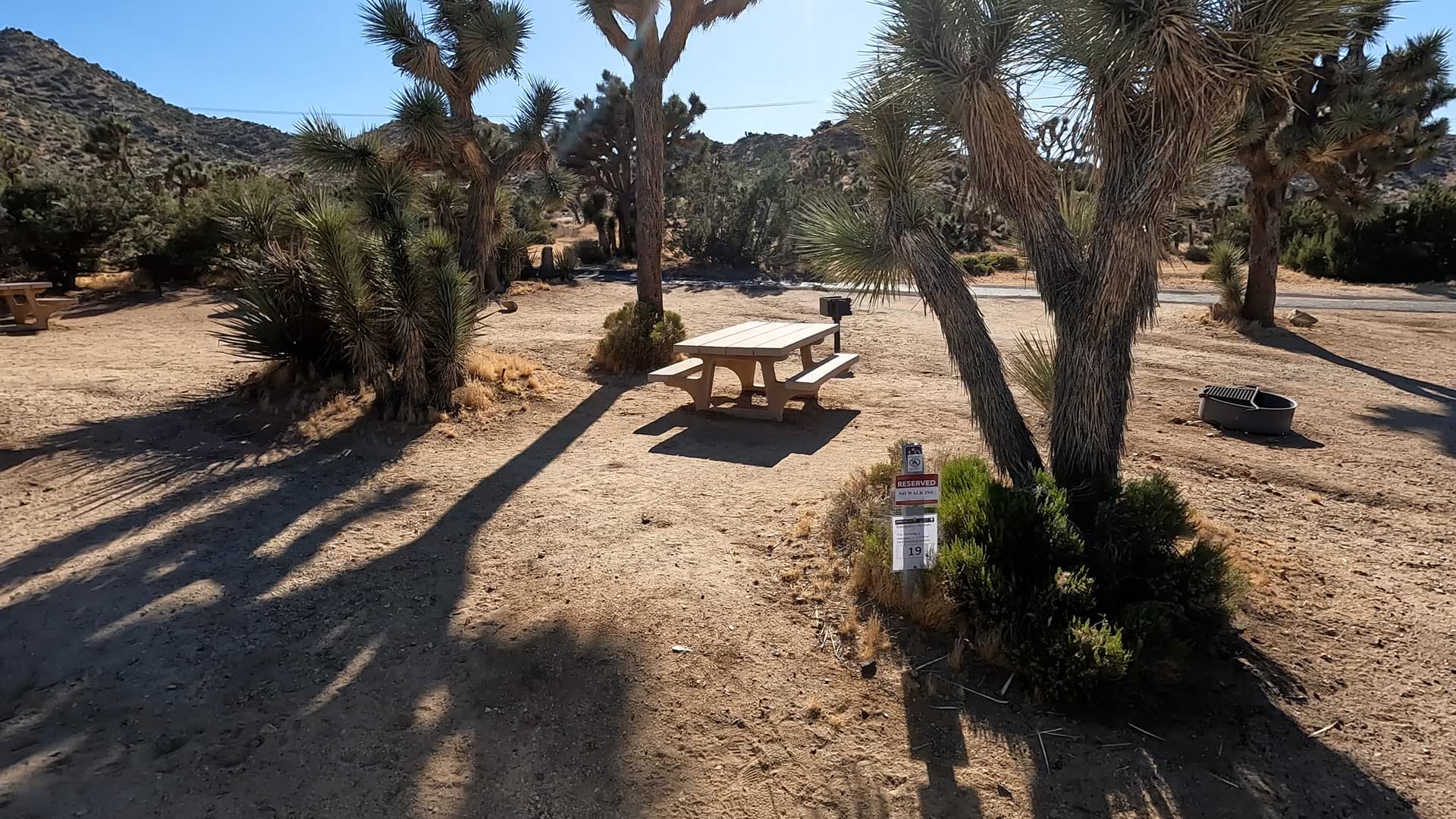Site 19