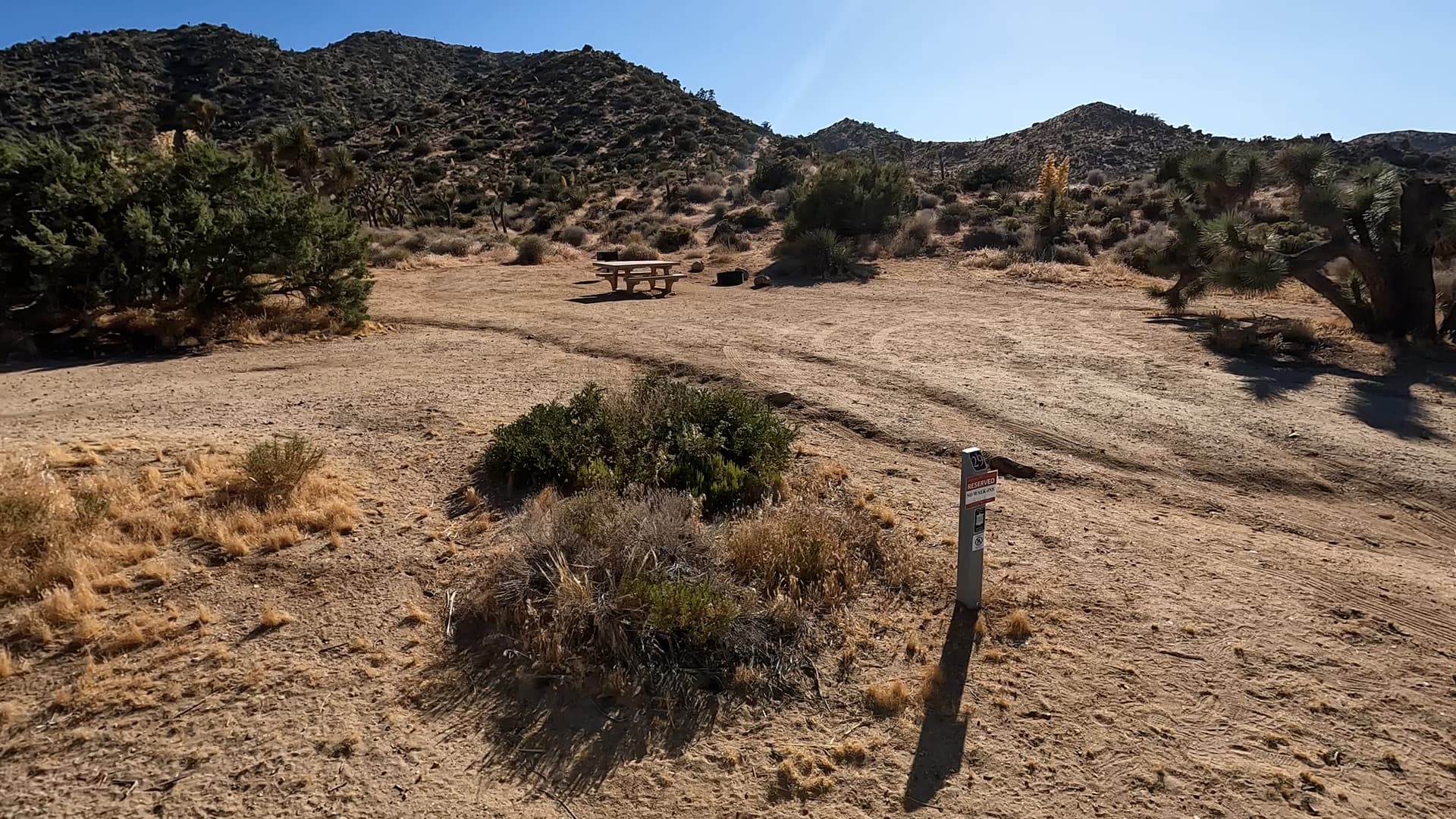 Site 29