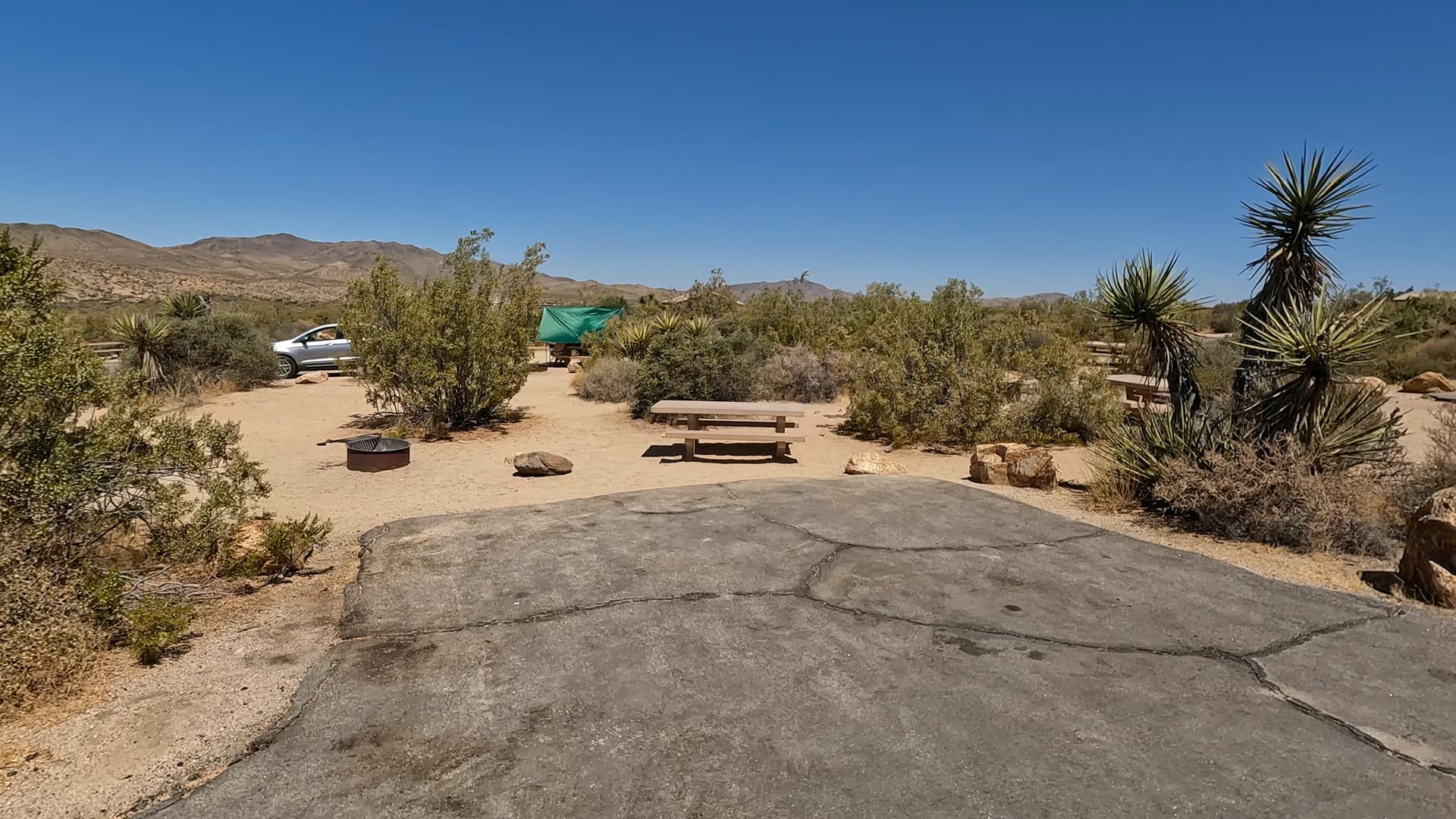 Site 12