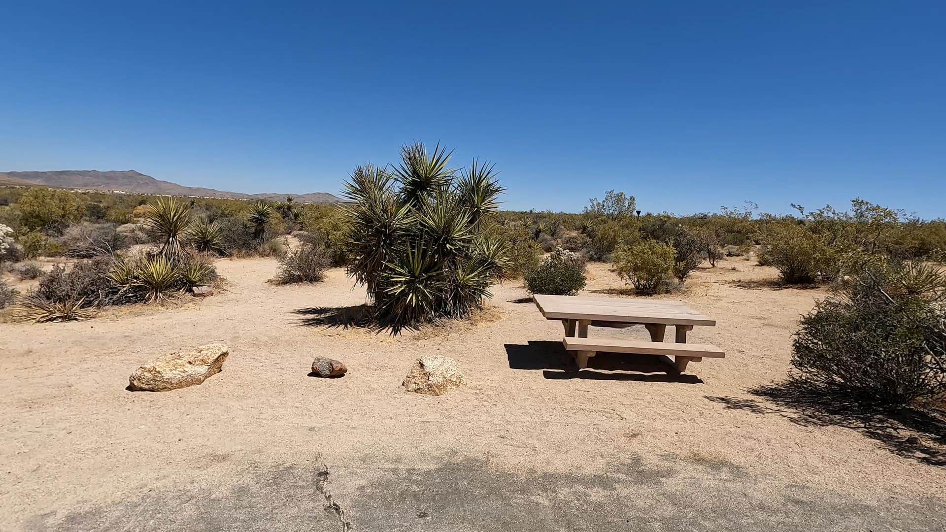 Site 29