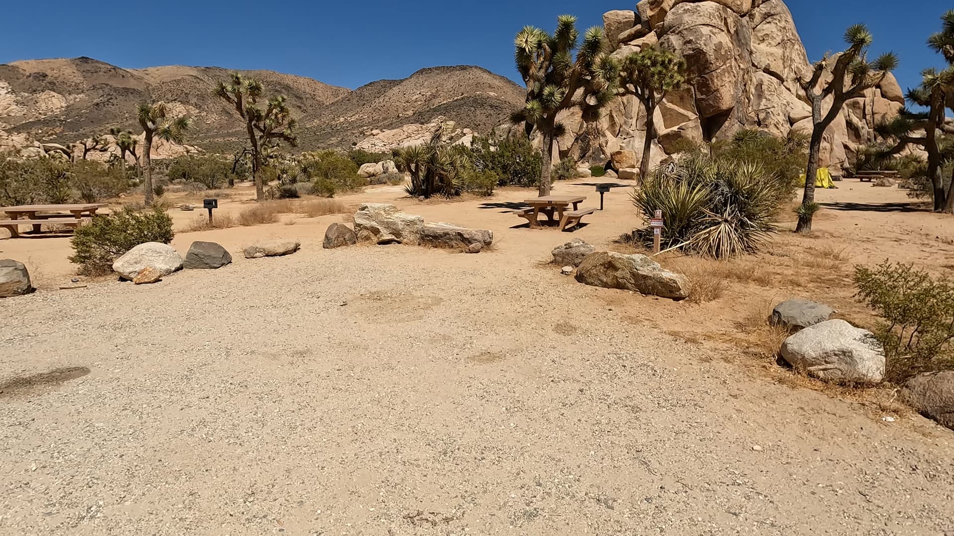 Site 8
