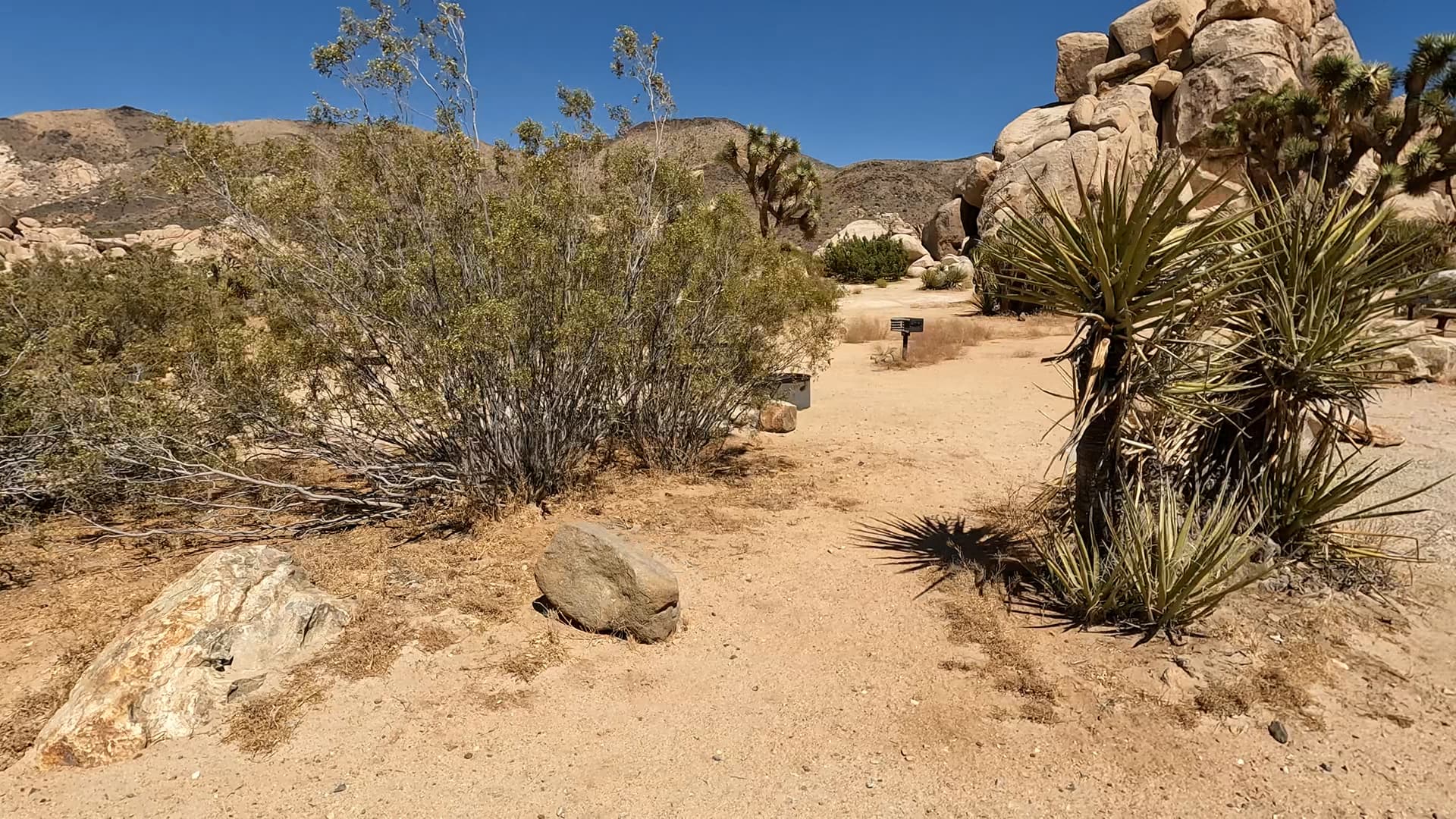 Site 7