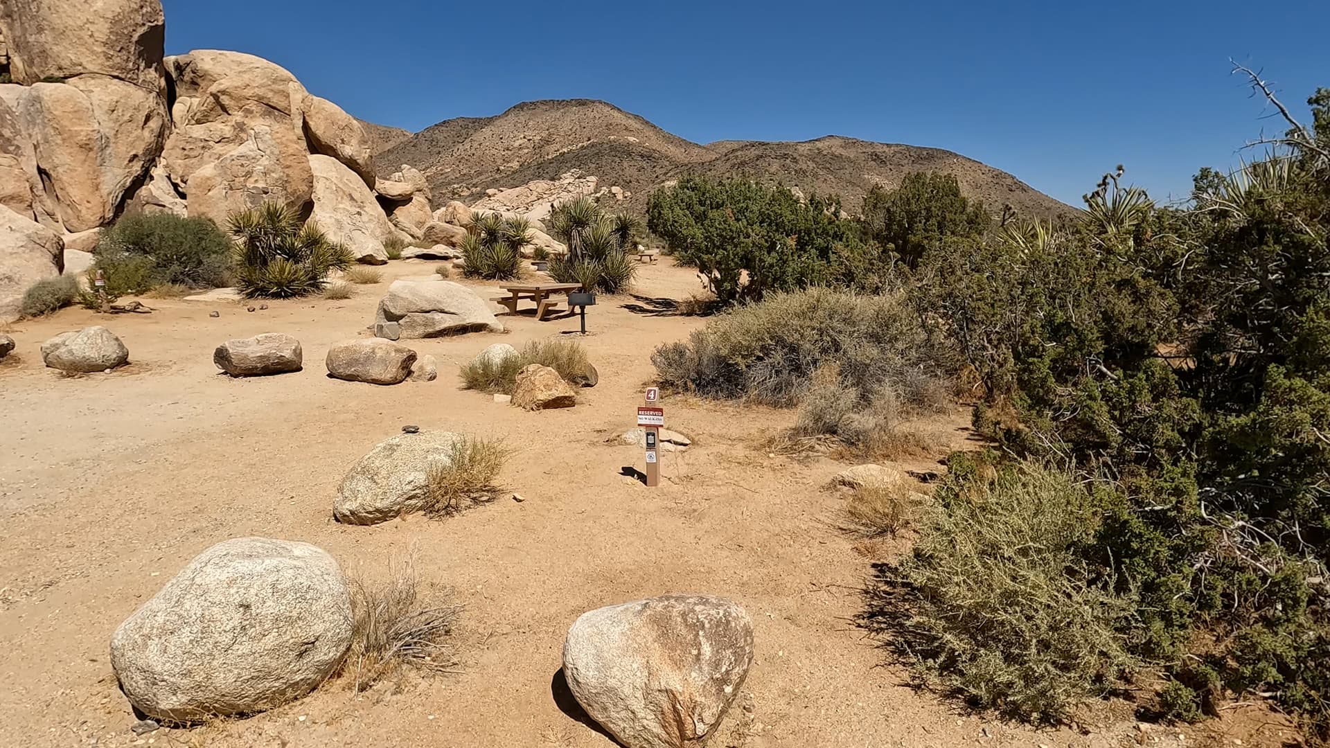 Site 4