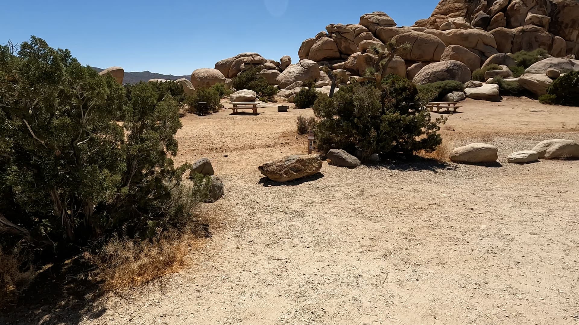 Site 15