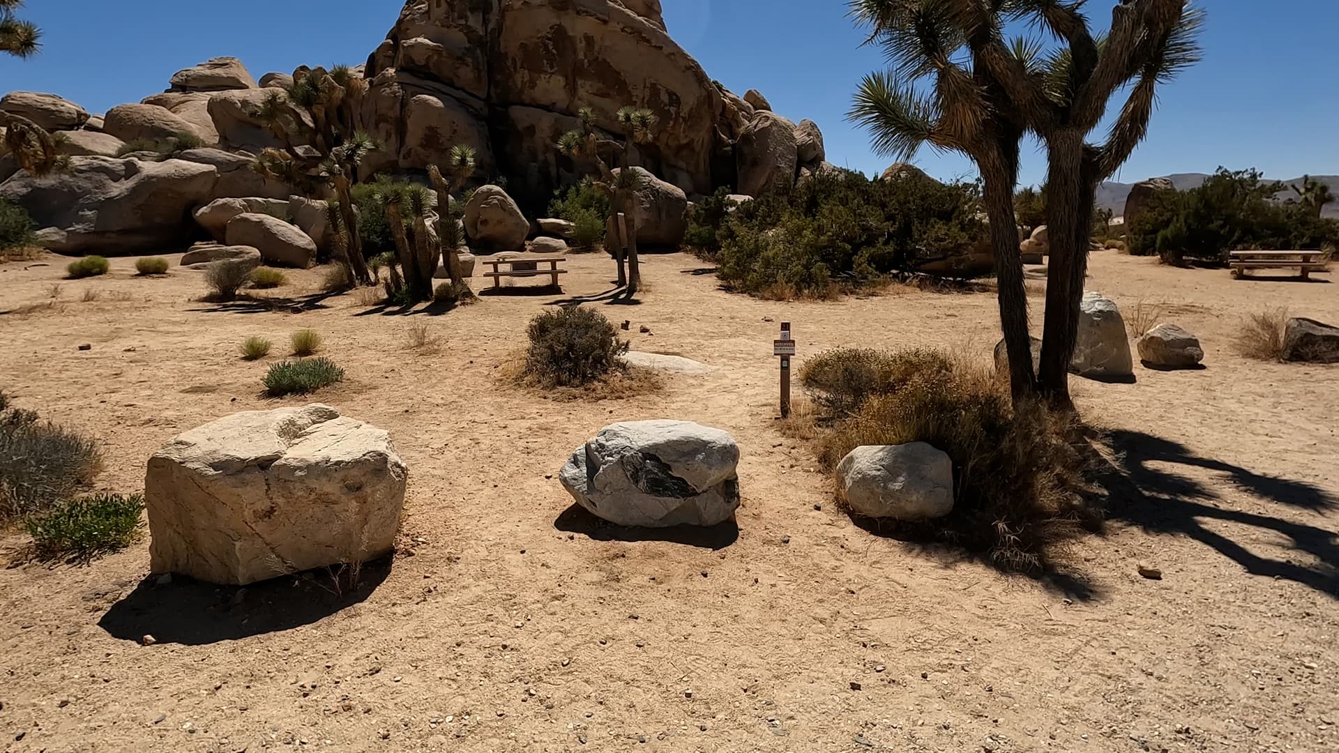 Site 21