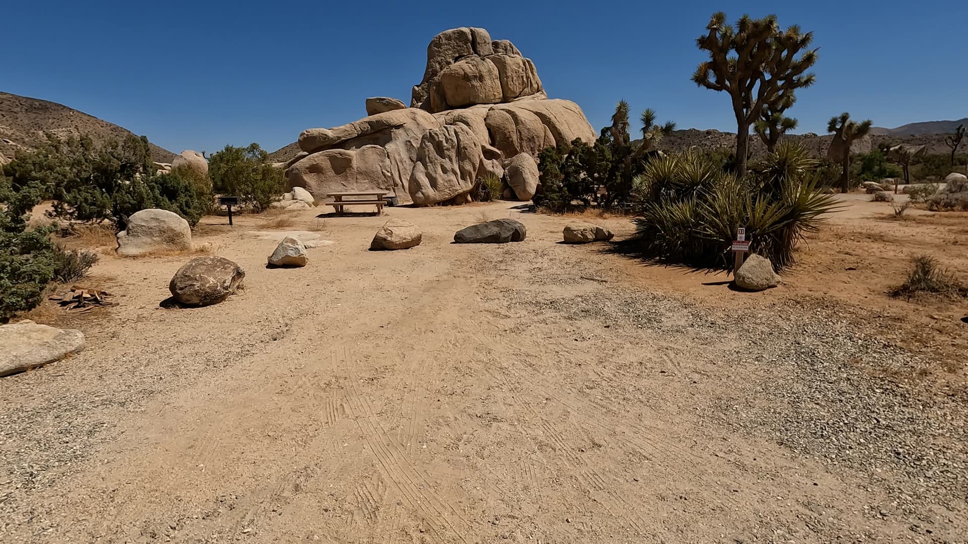 Site 31
