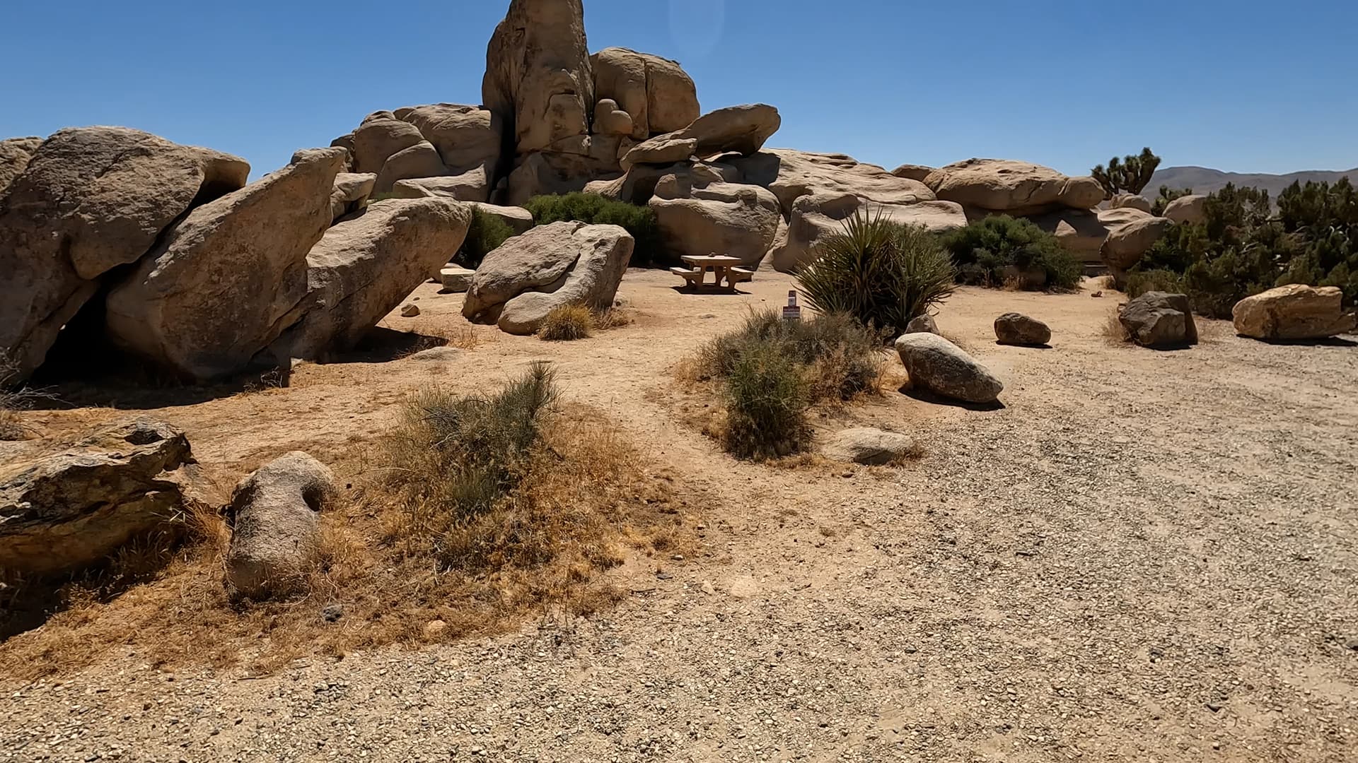 Site 29
