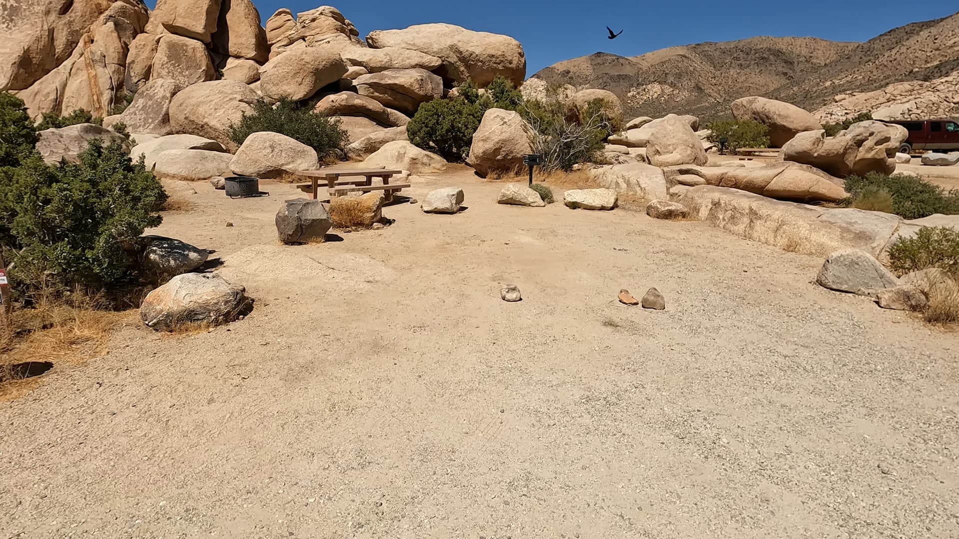 Site 11