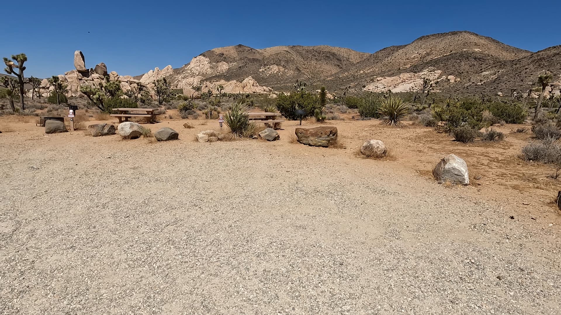 Site 19
