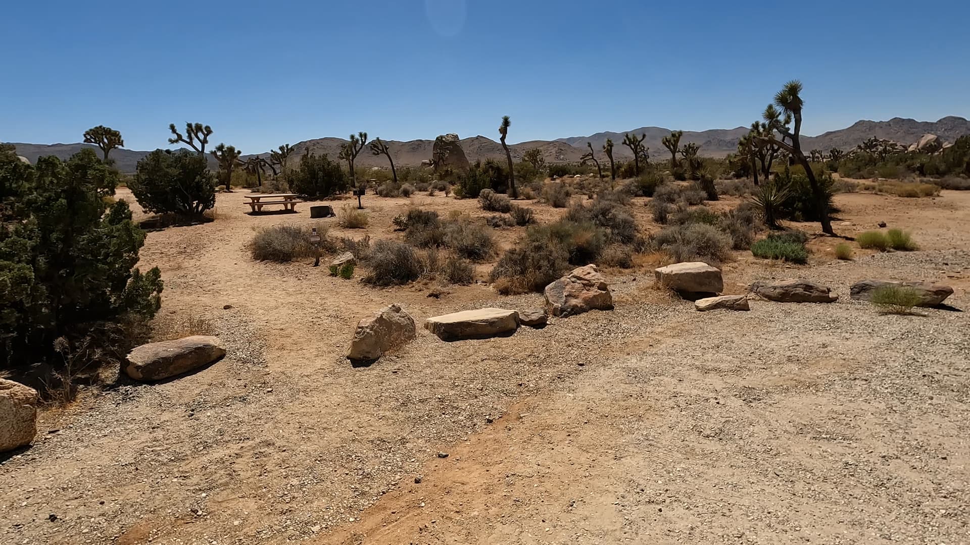Site 24