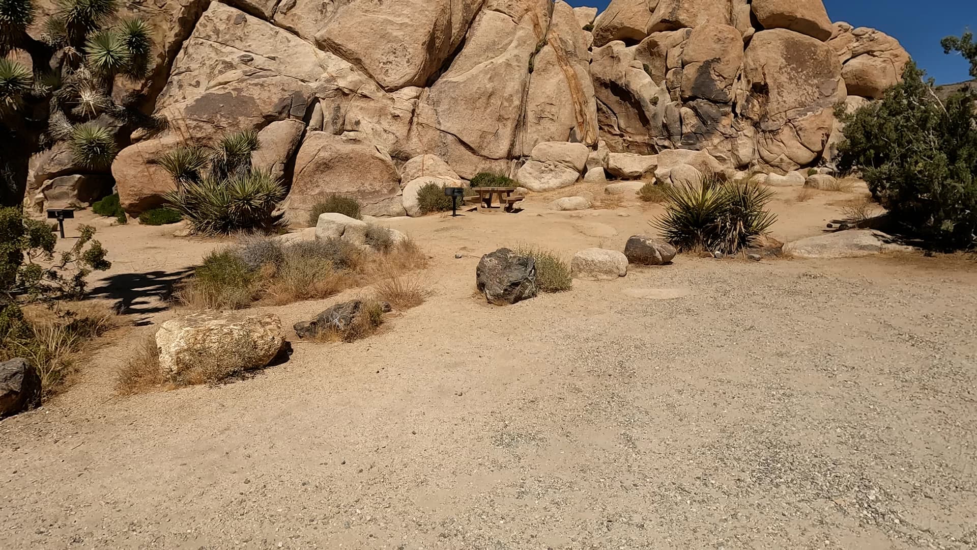 Site 10