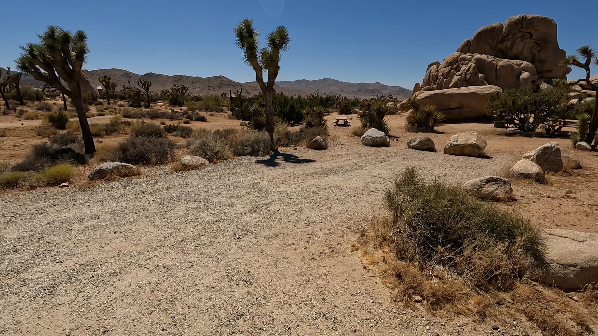 Site 26