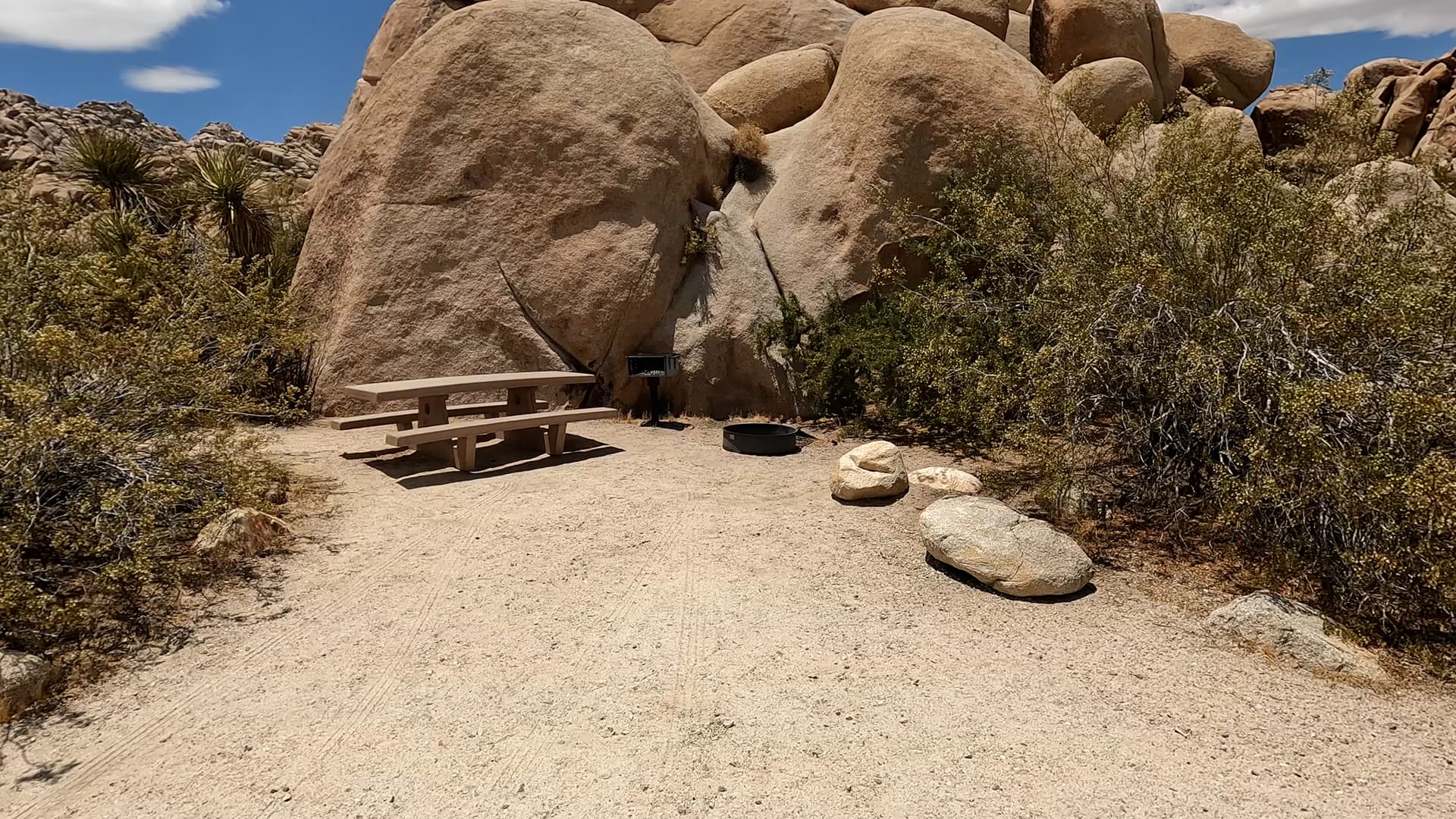 Site 8