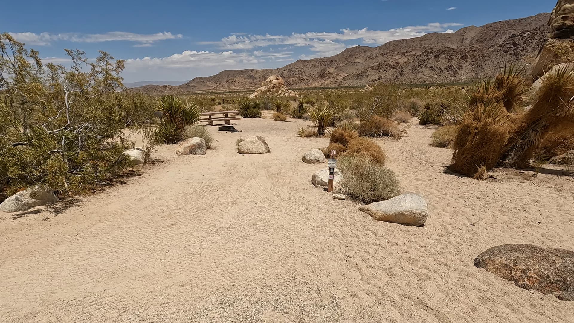 Site 11