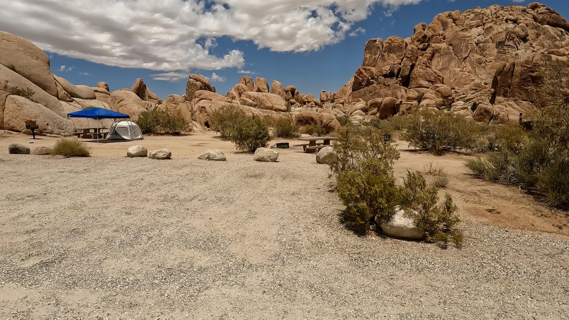 Site 19