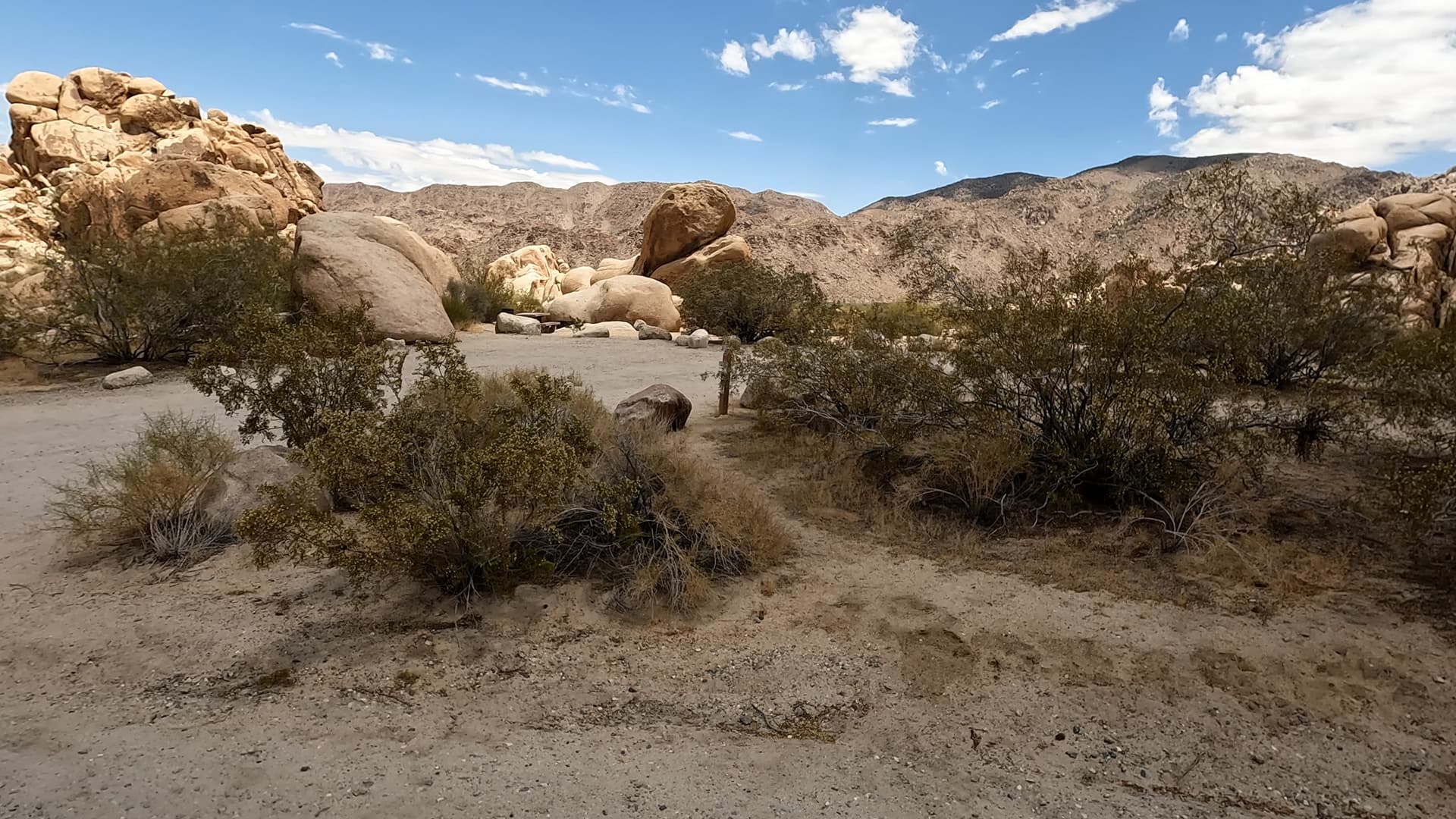 Site 21