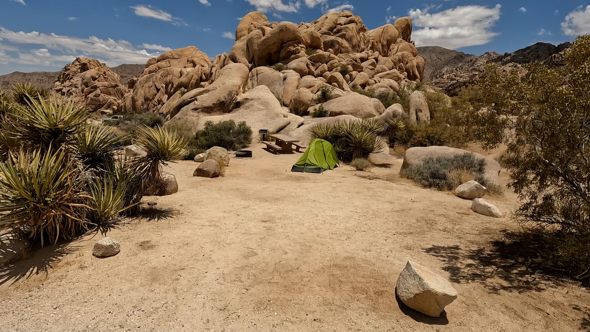 Site 37
