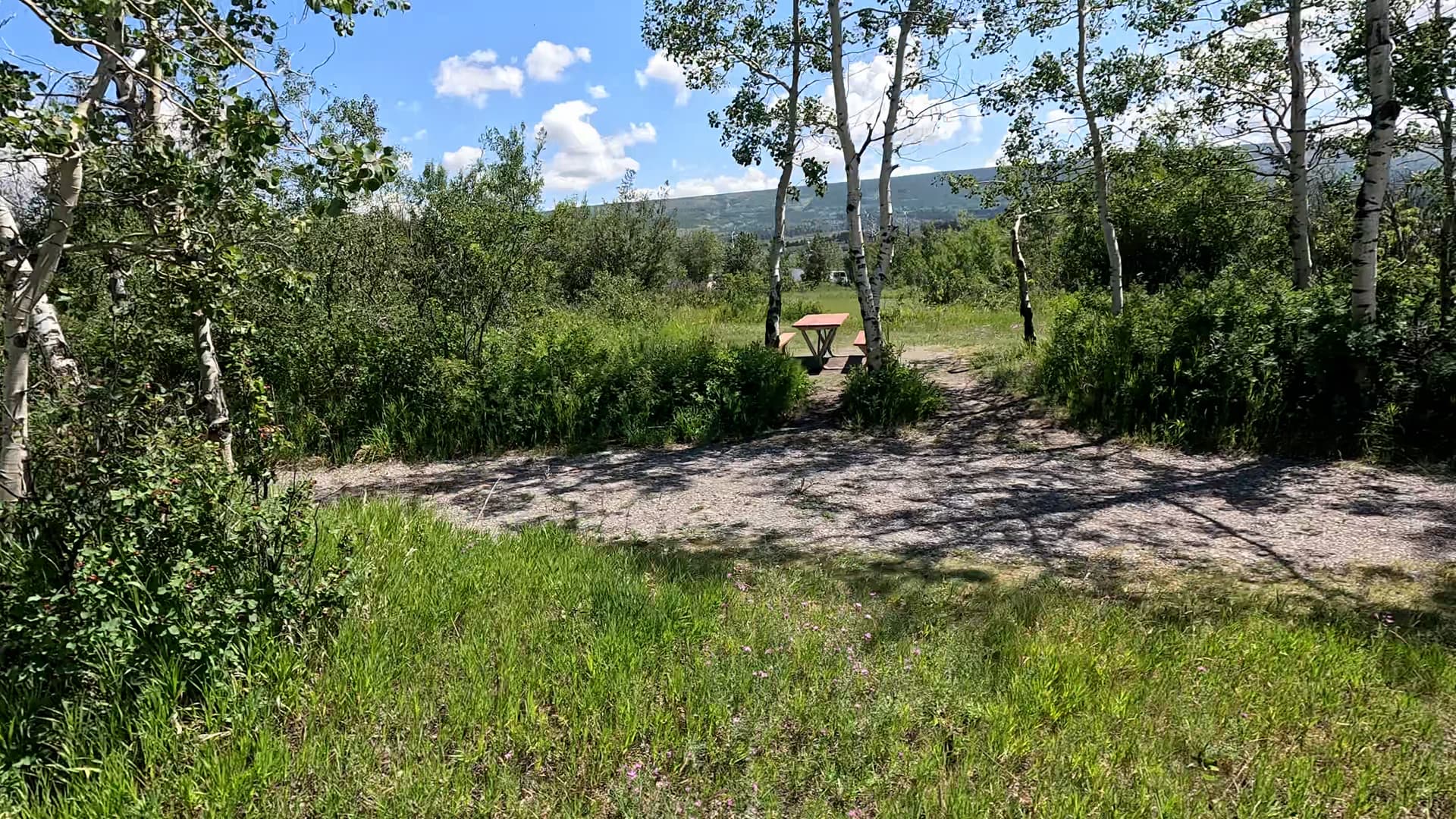 Site C154