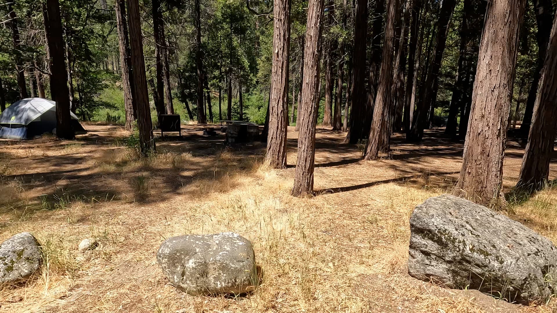 Site 2