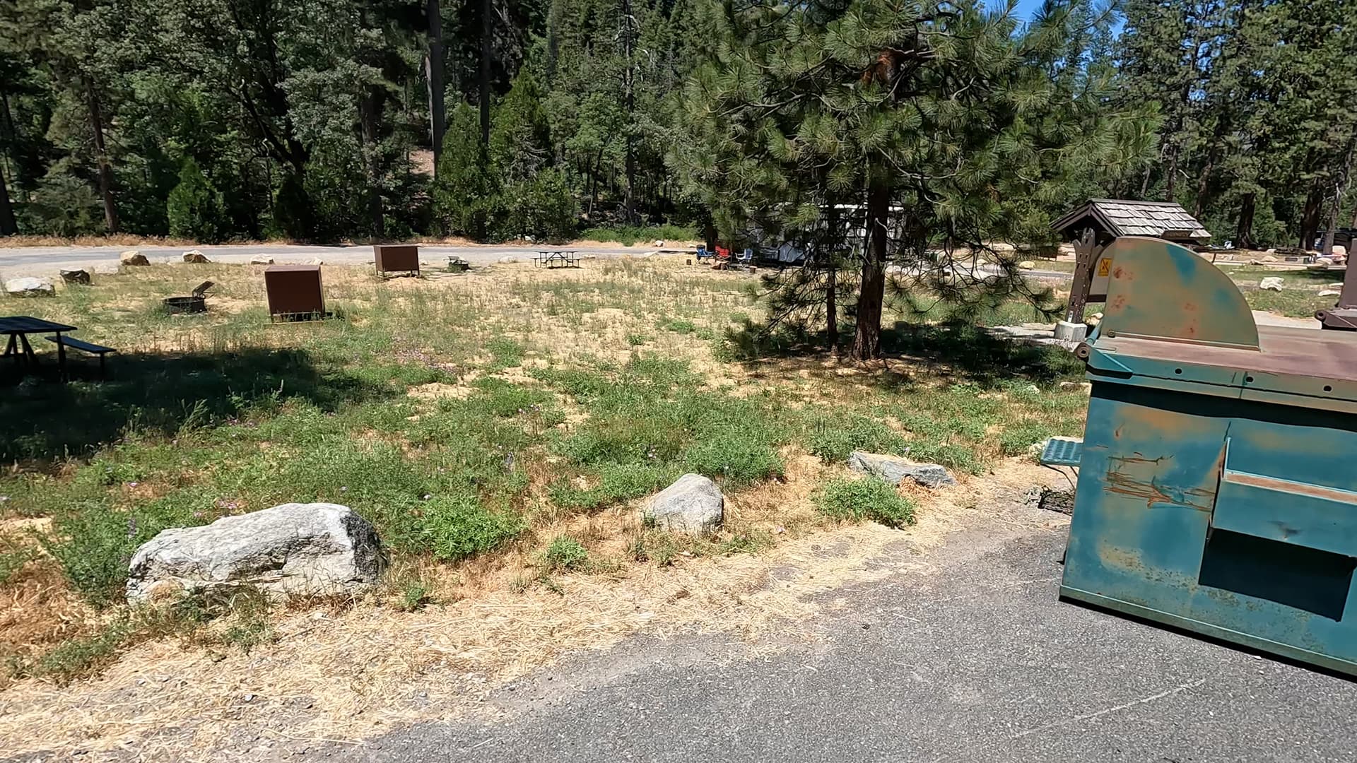Site 11