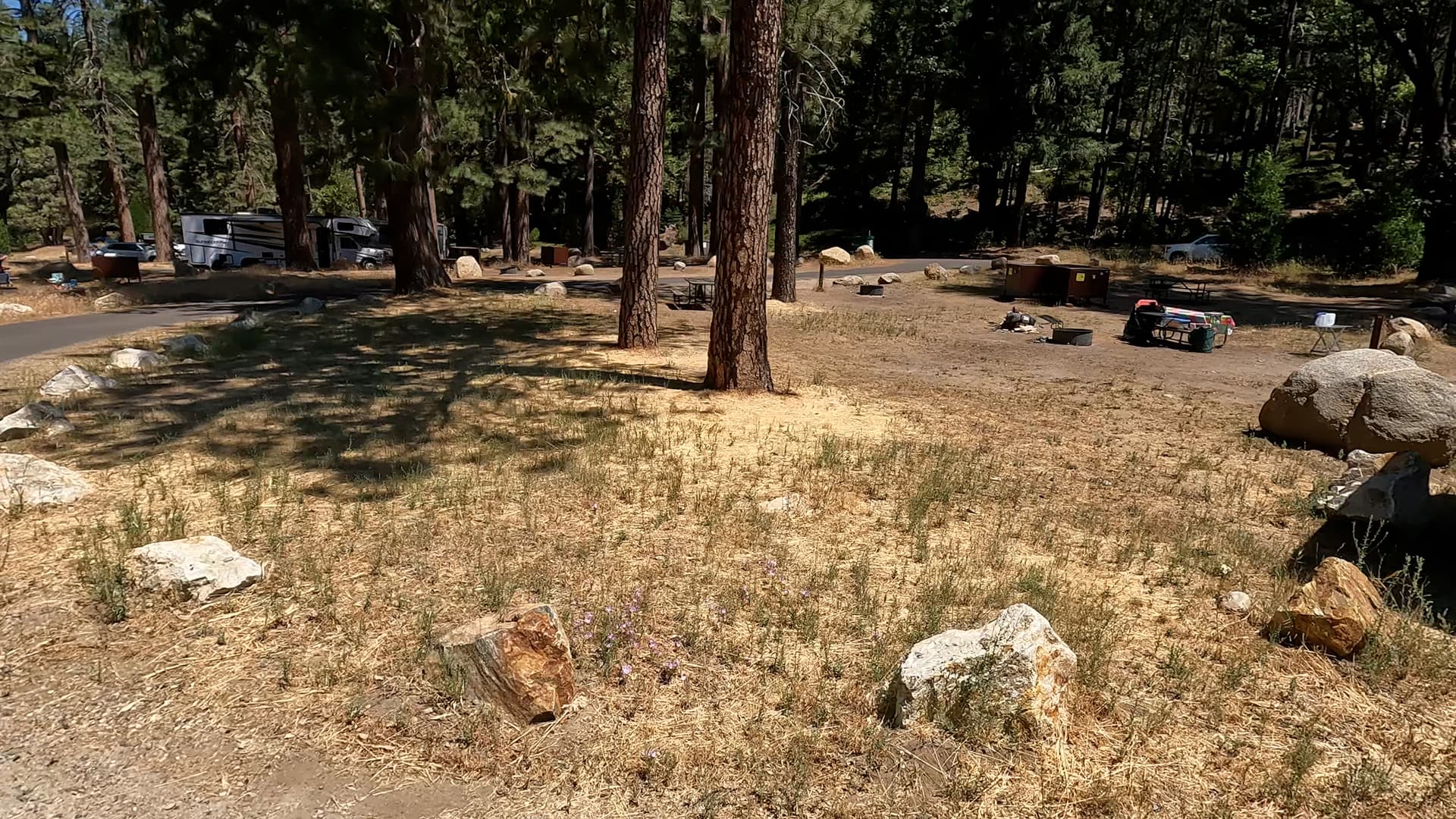 Site 16