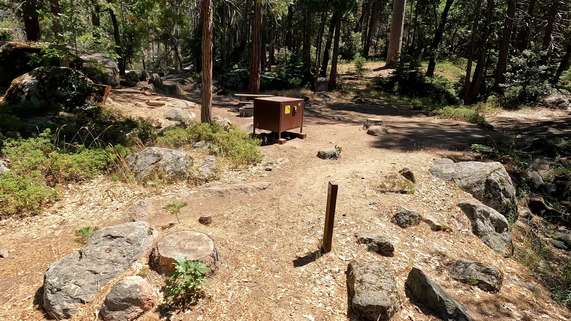 Site 41