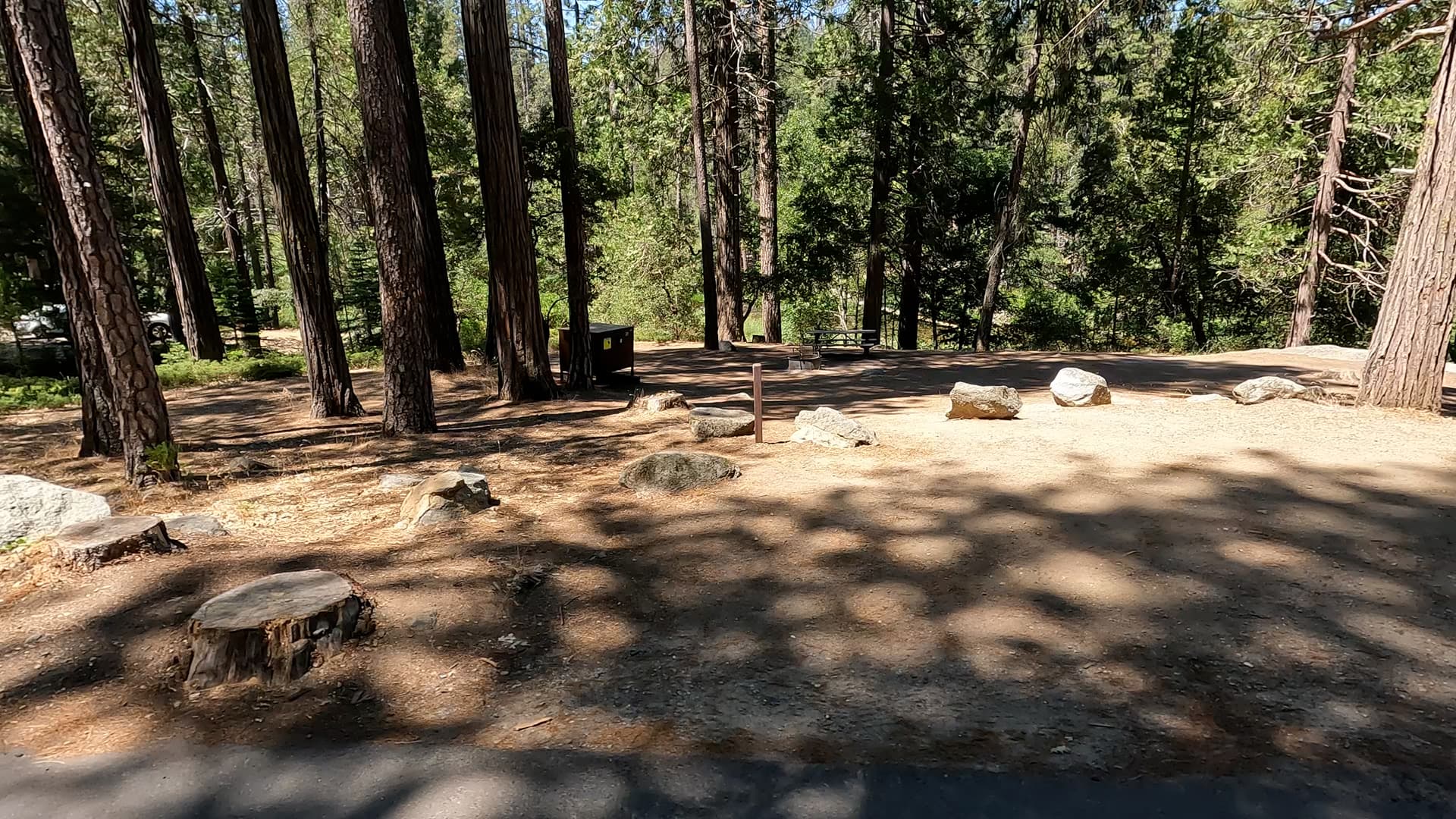 Site 38