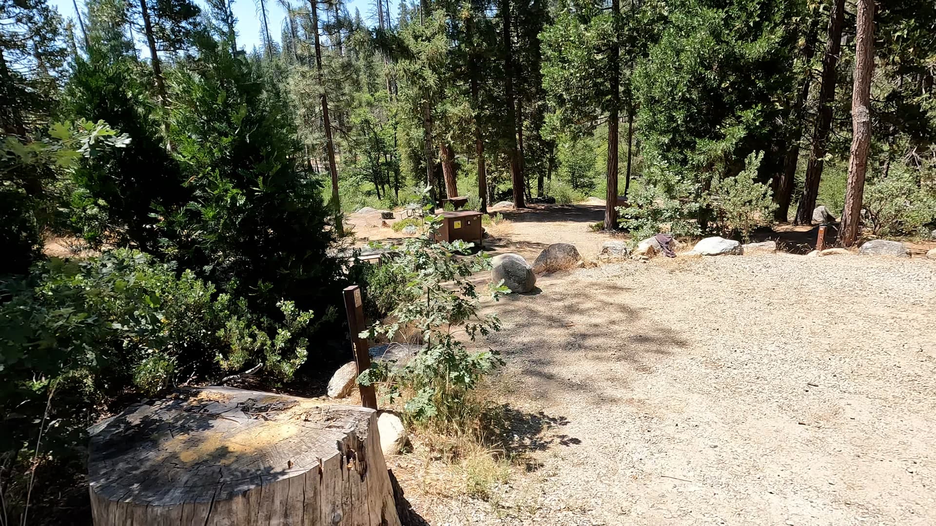 Site 45