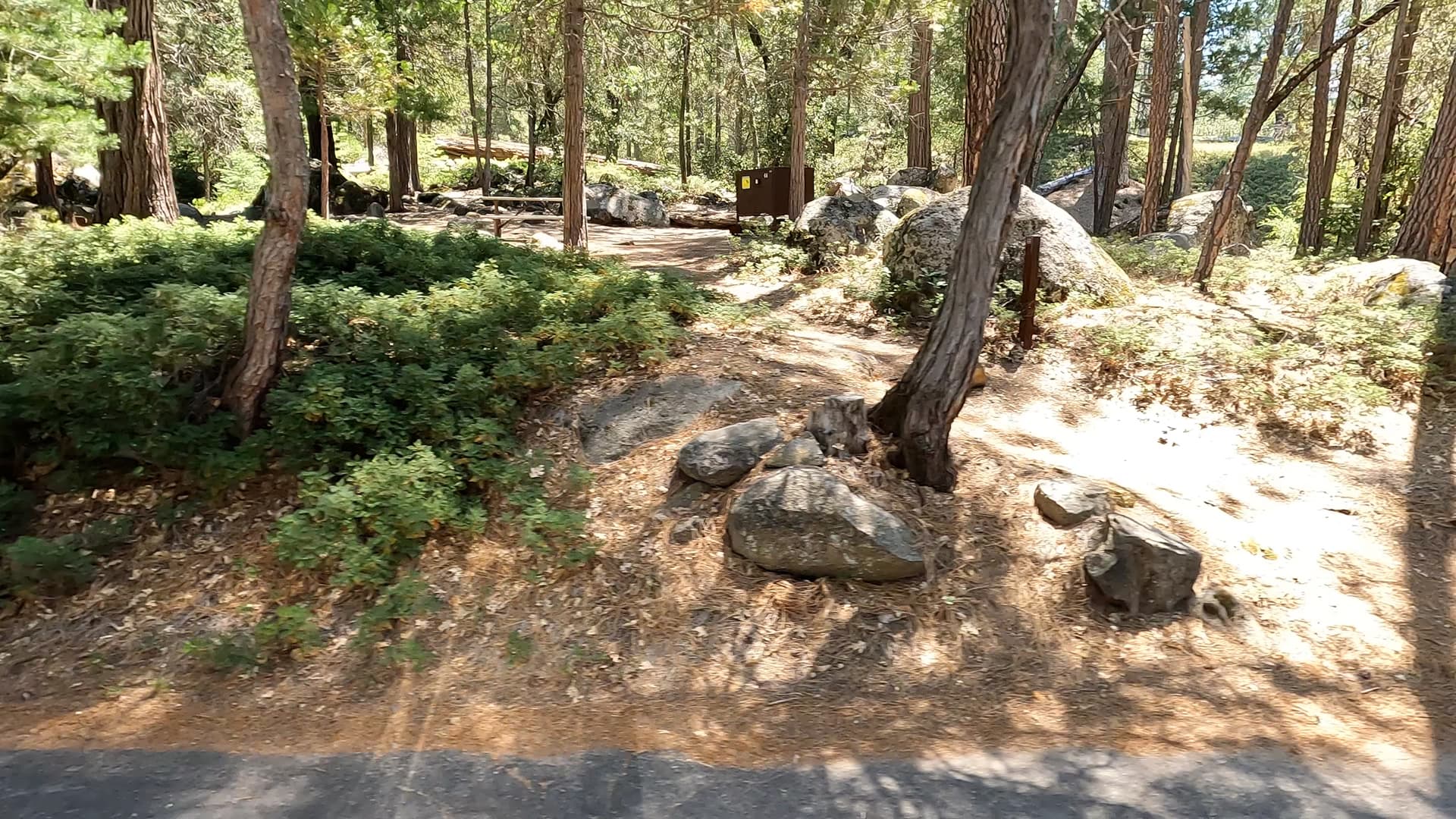 Site 44