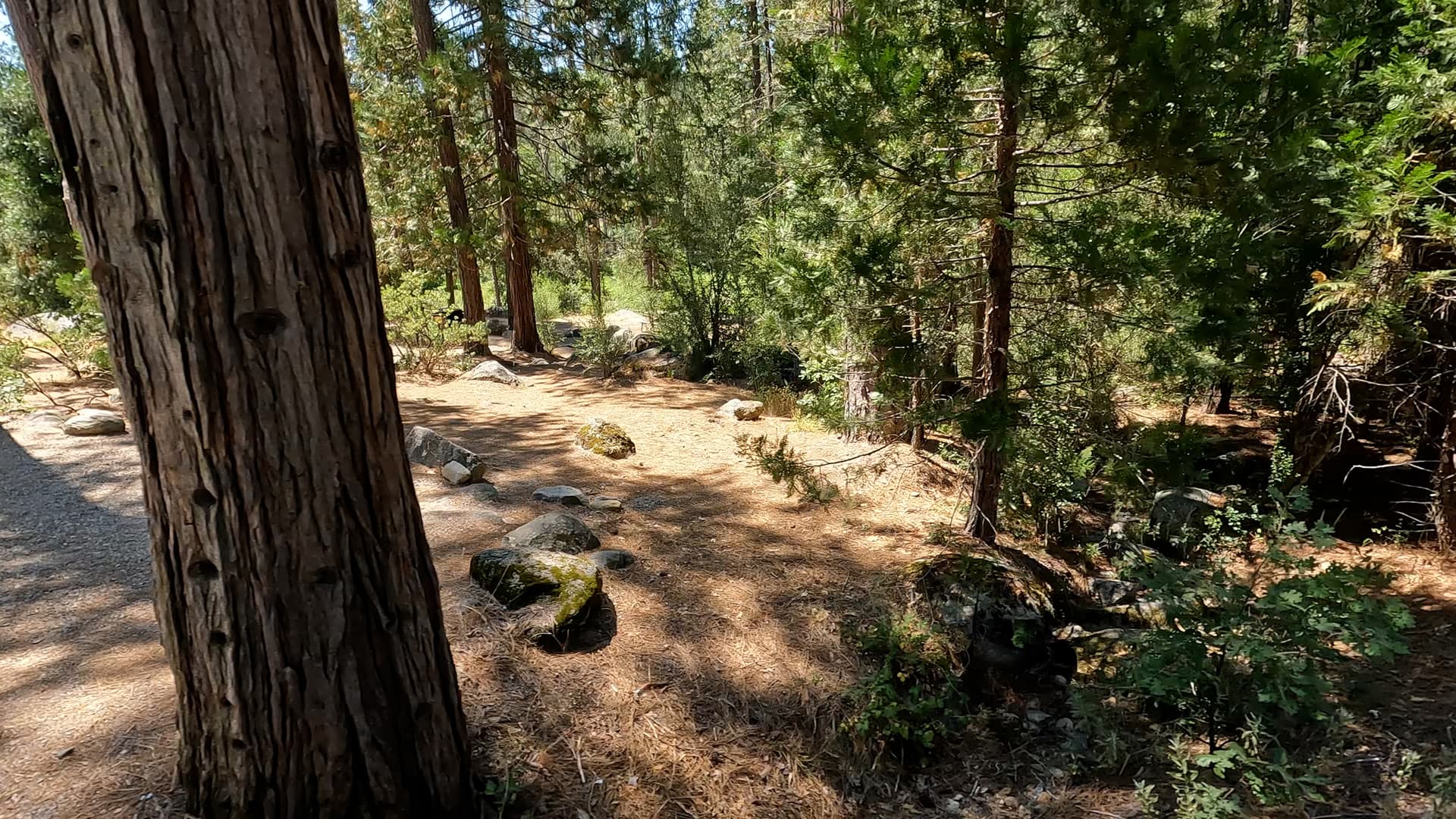 Site 47