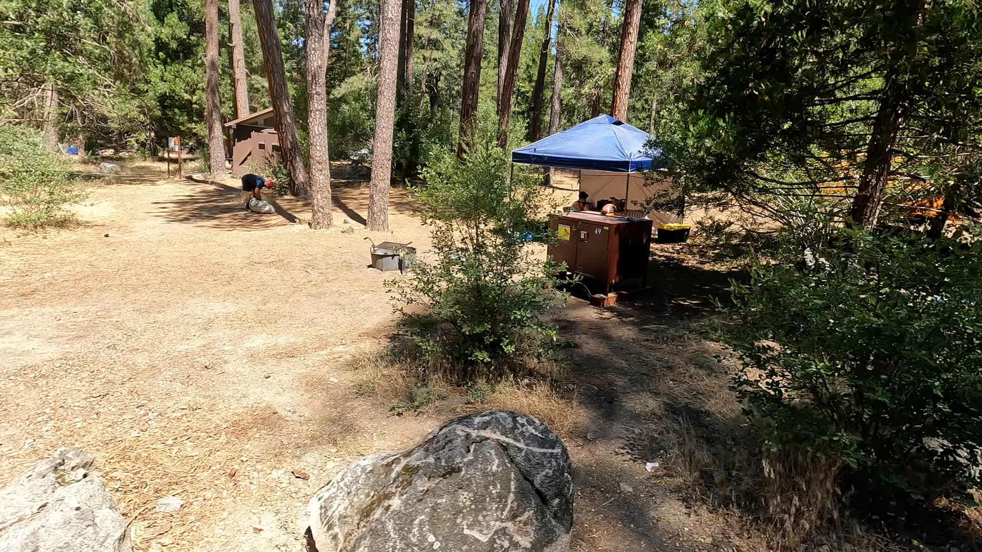 Site 49